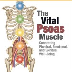 The Vital Psoas Muscle