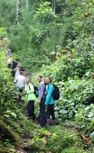 people hiking