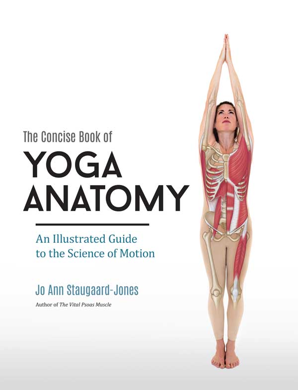 yoga anatomy